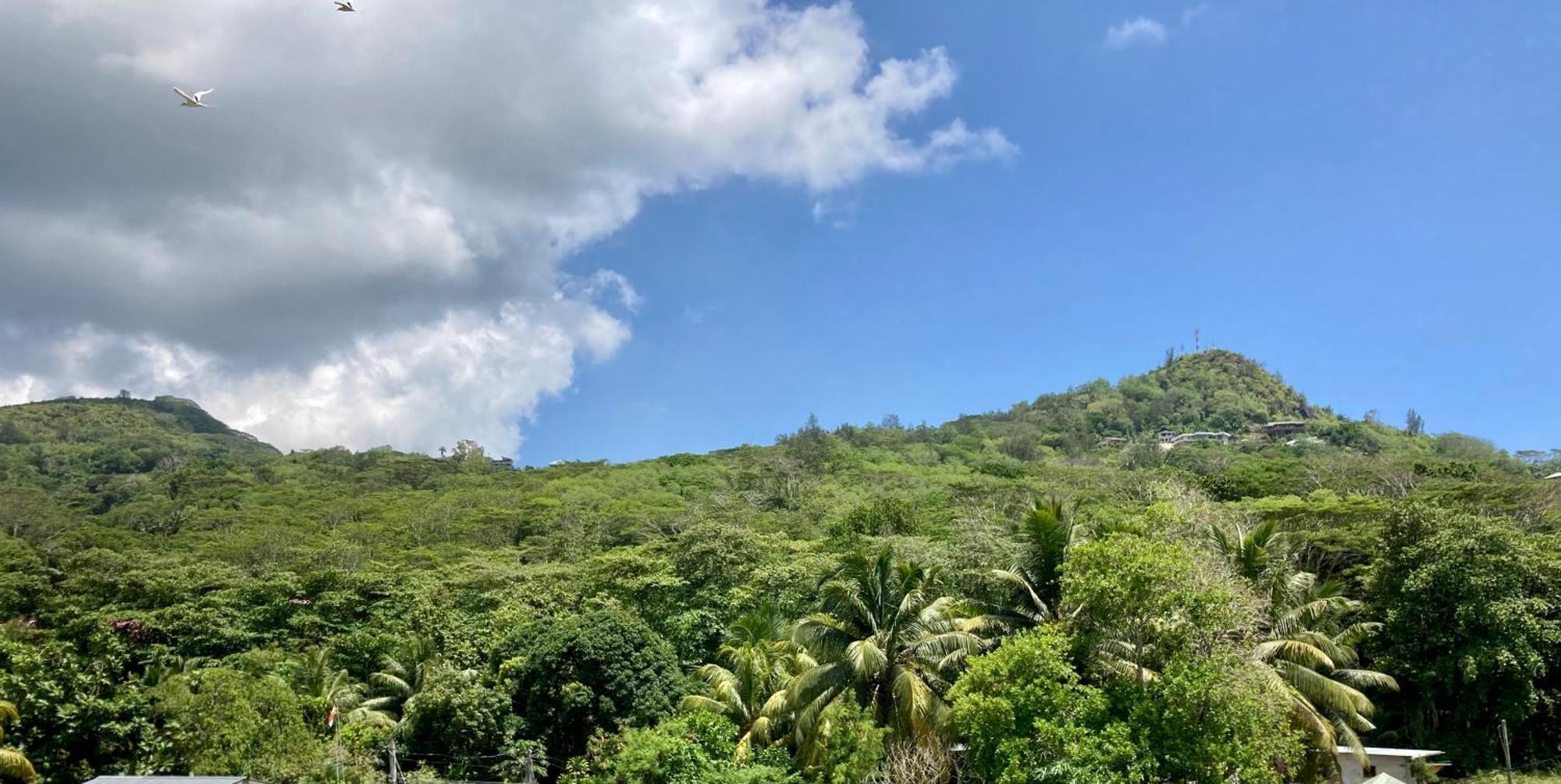 La Therese 3* Anse Royale